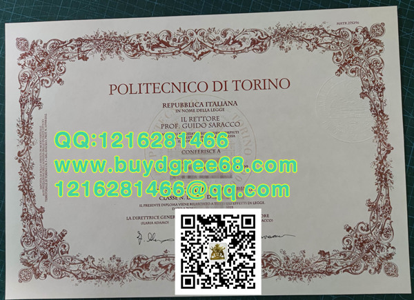 Politecnico di Torino diploma sample